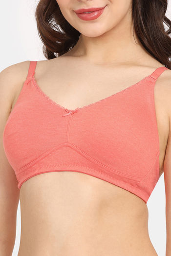 Buy Rosaline Cyber Grove Everyday Double Layered Non Wired 3/4th Coverage  T-Shirt Bra - Ember Glow at Rs.247 online
