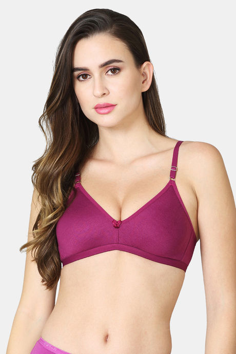 Buy VStar Double Layered Non Wired Medium Coverage Sleep Bra - Wine at  Rs.250 online