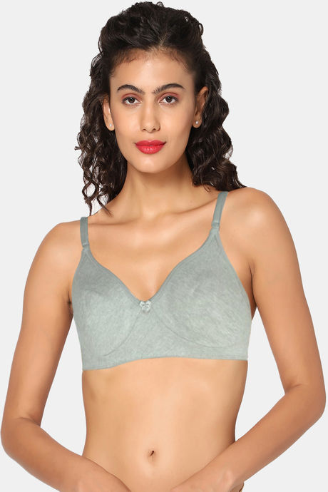 Buy Rosaline Everyday Double Layered Non Wired 3/4th Coverage T-Shirt Bra ( Pack of 2) - White Grey at Rs.719 online