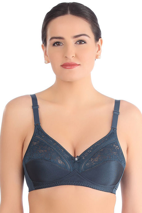 Triumph Double Layered Non Wired Full Coverage Super Support Bra - Blue