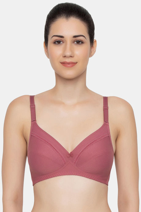 Buy Triumph Single Layered Non Wired Full Coverage T-Shirt Bra - Coffee  Sugar at Rs.500 online