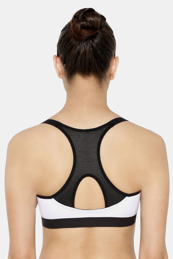 Buy Triumph Padded High Impact Sports Bra - Blue at Rs.1799 online