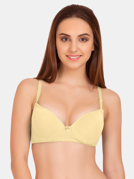 Buy Zivame Padded Non Wired 3/4th Coverage T-Shirt Bra - Biscay Bay at  Rs.594 online
