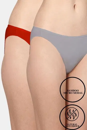 Buy AshleyandAlvis Anti Microbial Medium Rise Full Coverage Bikini Panty (Pack of 2) - Grey Red