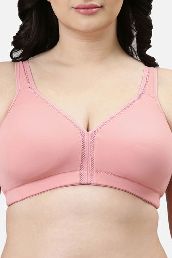 Buy Enamor Lightly Lined Non Wired Full Coverage T-Shirt Bra - Rosette at  Rs.949 online