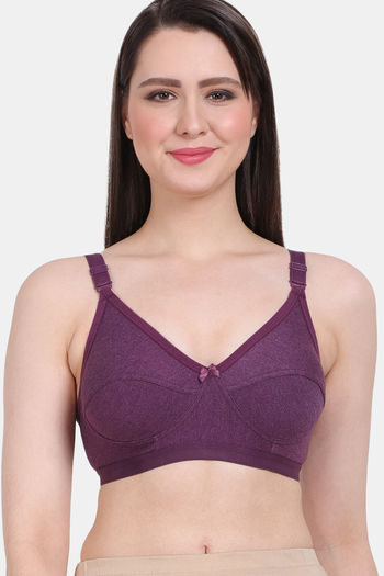 Buy Vanila Single Layered Non-Wired Full Coverage Minimiser Bra - Purple at  Rs.799 online