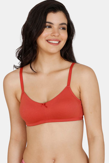 Buy Zivame Double Layered Non Wired 3/4th Coverage Sag Lift Bra - Dusty Cedar