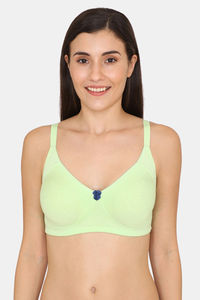 Buy Zivame Padded Non Wired 3/4th Coverage T-Shirt Bra - Deep Peacock Blue  at Rs.517 online