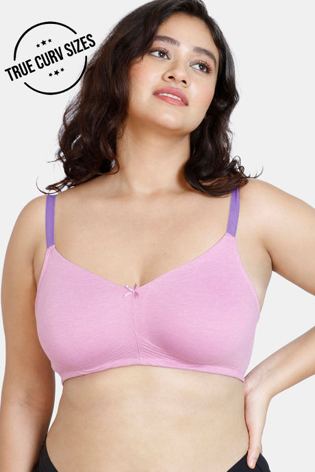 Buy Zivame True Curv Beautiful Basics Double Layered Non Wired 3/4th  Coverage Super Support Bra - Violet at Rs.325 online