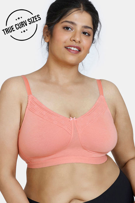 Buy Zivame True Curv Snuggle Up Double Layered Non Wired Full Coverage  Super Support Bra - Terra Cotta at Rs.602 online
