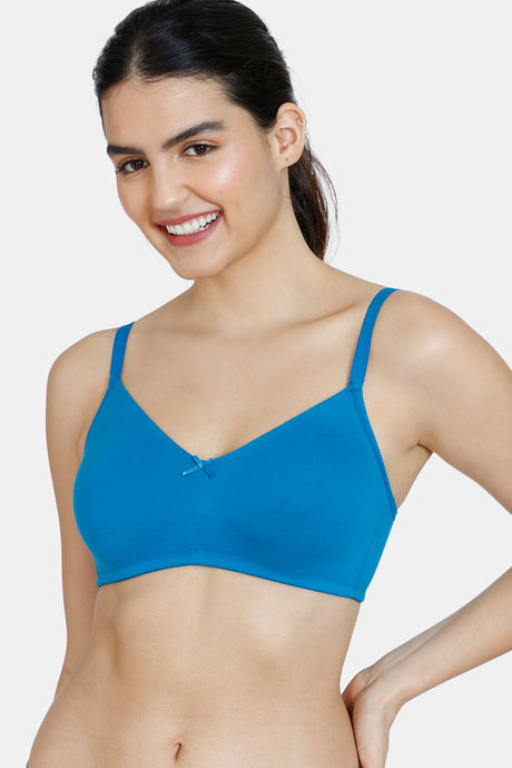 Buy Zivame Essentials Double Layered Non Wired 3/4th Coverage T-Shirt Bra -  Harbor Blue at