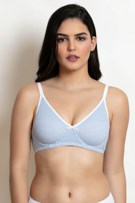 Buy Zivame Double Layered Wired 3/4th Coverage T-Shirt Bra - Blue Stripe at  Rs.243 online, Bra online