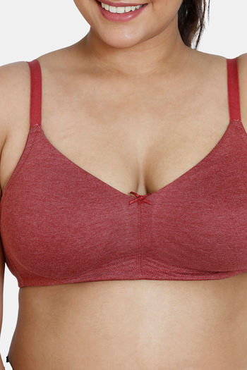 Buy Zivame True Curv Double Layered Non Wired 3/4Th Coverage Sag Lift Bra -  Sundried Tomato at Rs.292 online