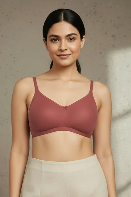 Rosaline Everyday Double Layered Non Wired 3/4th Coverage T-Shirt Bra - Dusty Cedar