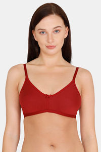 Buy Rosaline Double Layered Non Wired 3/4th Coverage Anti-Microbial Finish T-Shirt Bra - Sundried Tomato