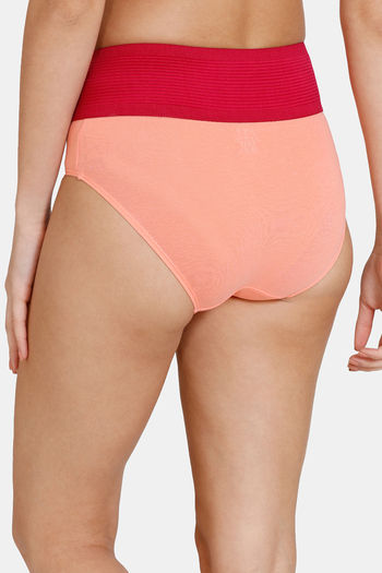Buy Zivame Anti-Microbial High Rise Full Coverage Tummy Tucker Hipster  Panty (Pack of 2) - Assorted at Rs.384 online