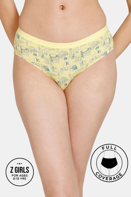 ZIVAME Women Hipster Grey, Light Blue Panty - Buy ZIVAME Women Hipster  Grey, Light Blue Panty Online at Best Prices in India