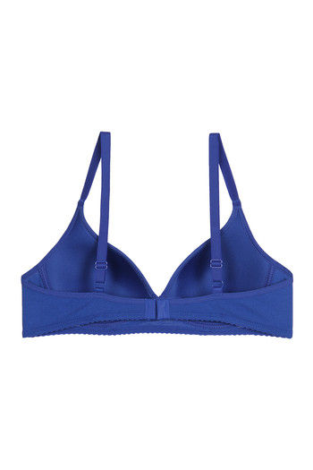 Enamor A039-Wirefree Medium Coverage Daily Wear Women T-Shirt Lightly  Padded Bra - Buy DAZZLING BLUE Enamor A039-Wirefree Medium Coverage Daily  Wear Women T-Shirt Lightly Padded Bra Online at Best Prices in India