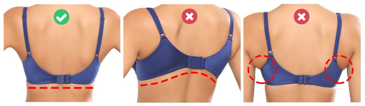 Bra Size Calculator: Find the Perfect Bra Size - Understance