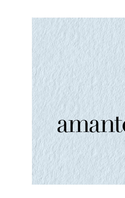 Lingerie Fest - Brands - Amante