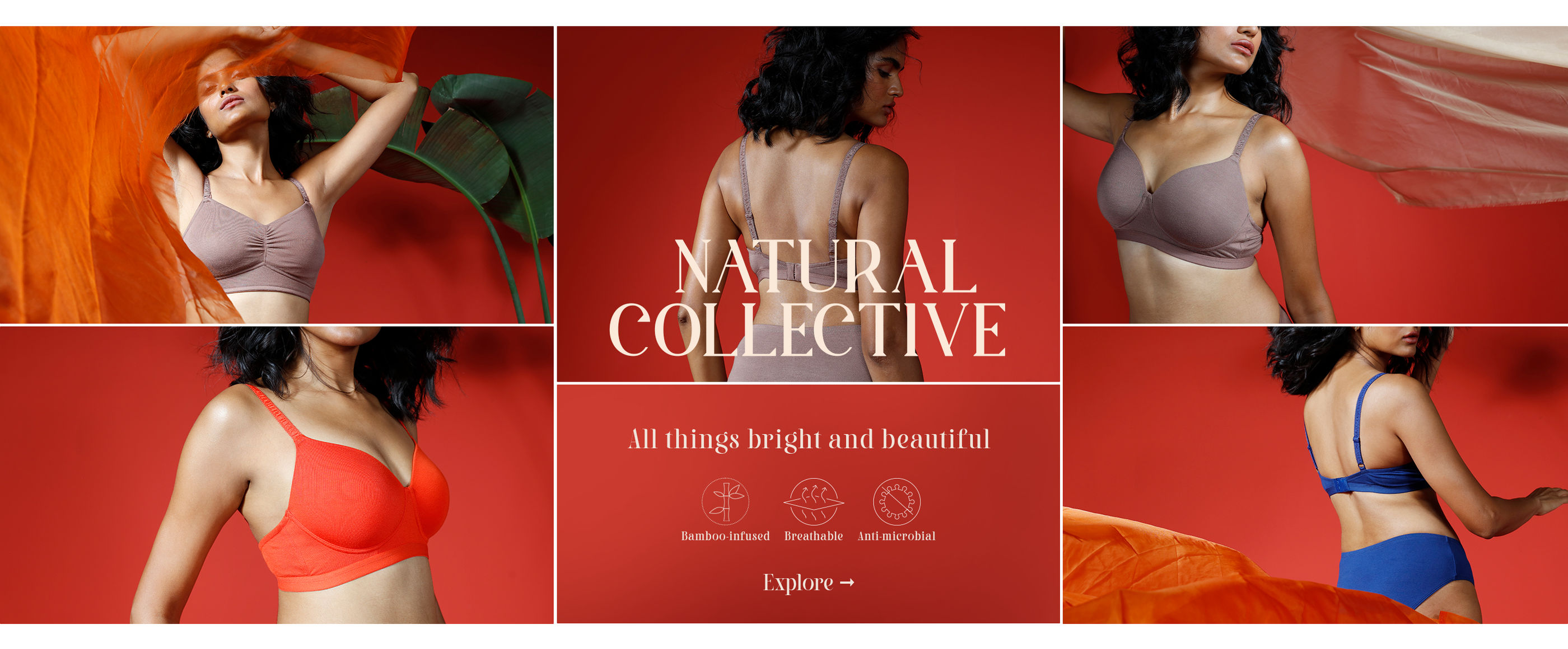 Lingerie Fest - Natural Bra Coll