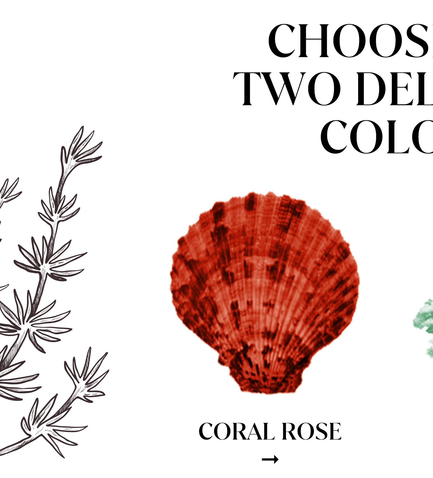 Zivame Coral Glaze Collection - Colour Coral Glaze red