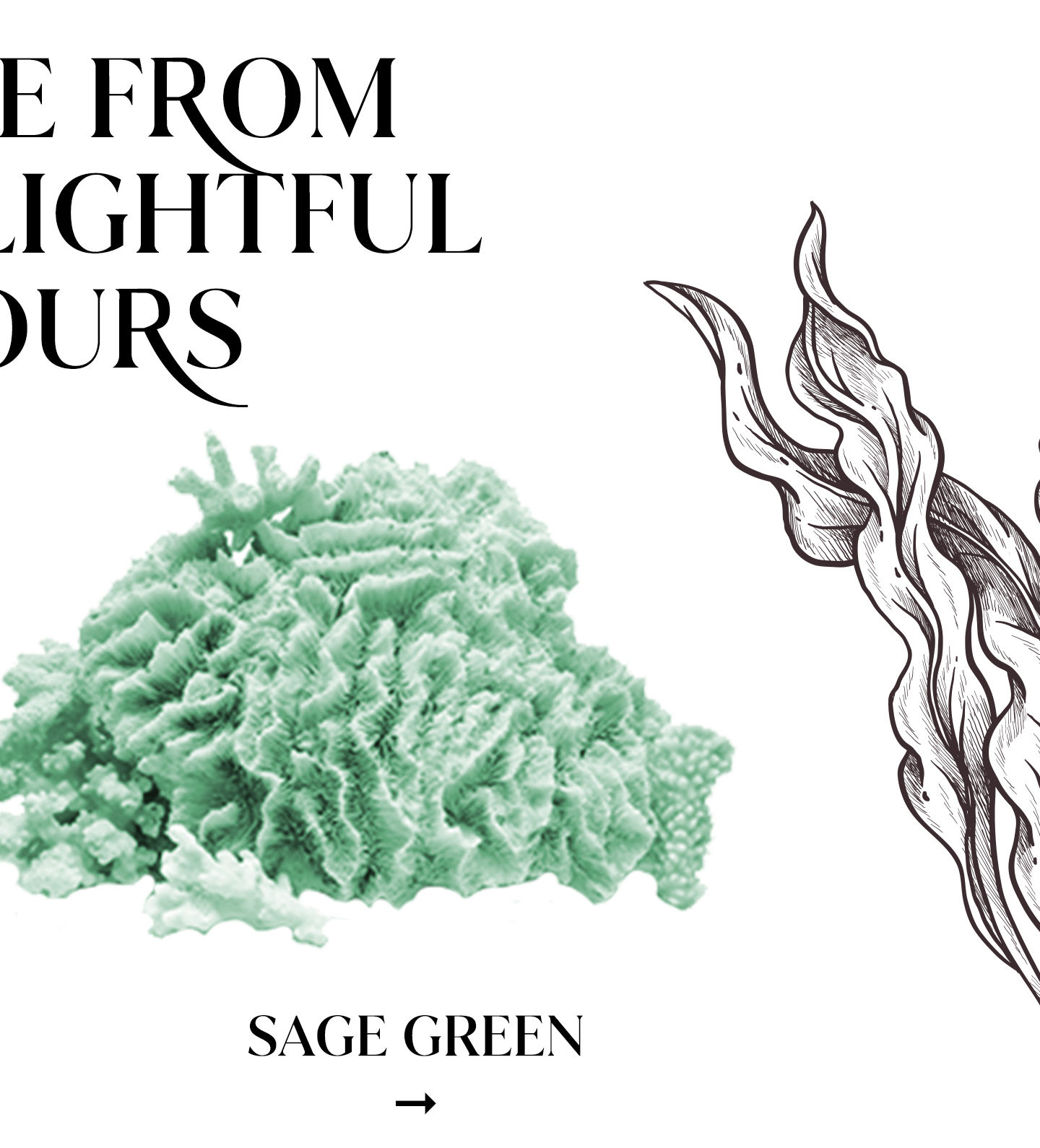 Zivame Coral Glaze Collection - Colour Coral Glaze green