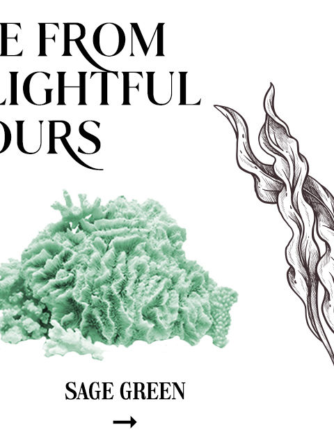 Zivame Coral Glaze Collection - Colour Coral Glaze Green m