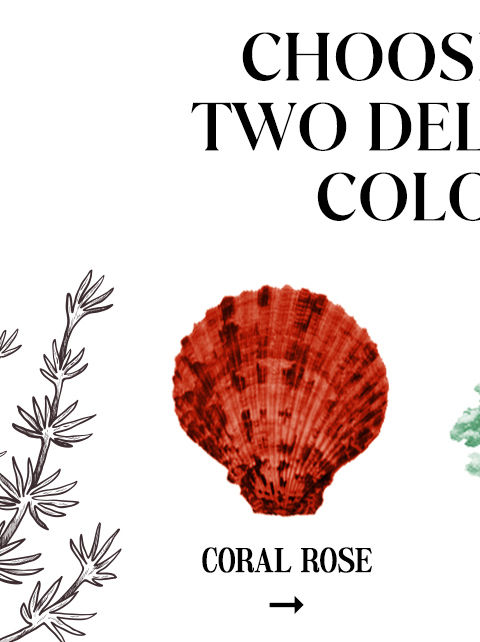 Zivame Coral Glaze Collection - Colour Coral Glaze red m