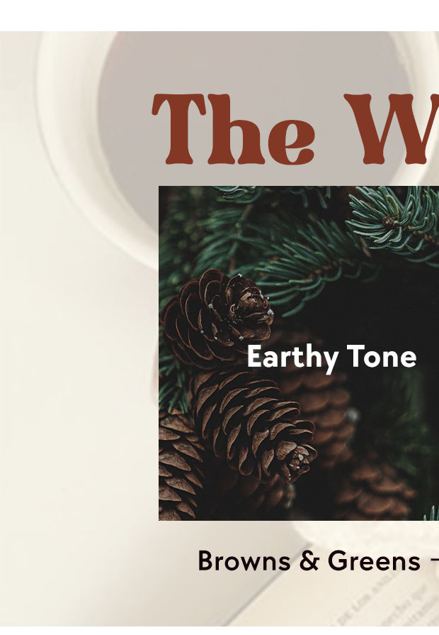 Zivame Winter Collection - ByColour - Greenandbrown