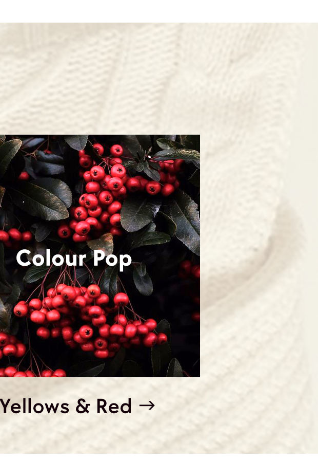 Zivame Winter Collection - ByColour - YellowandRed