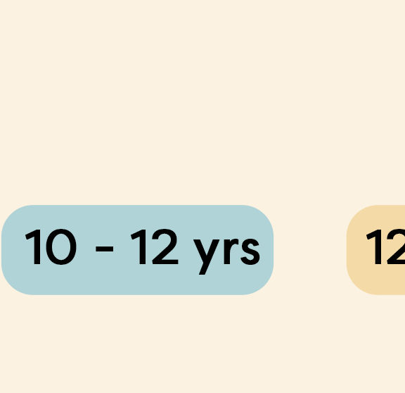 Zkids age Desktop