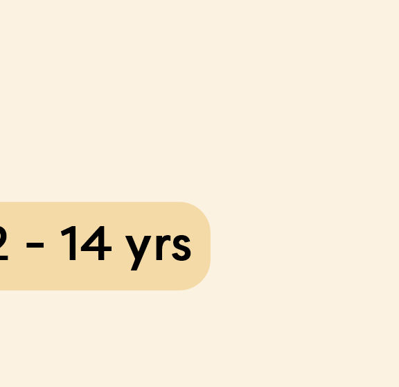 Zkids age Desktop