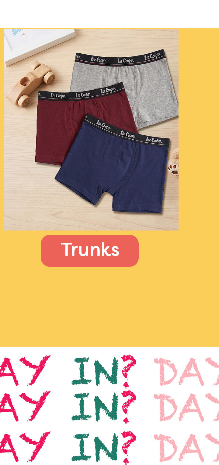 Zkids boys briefs Desktop