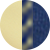Dragon Blue Yellow