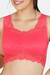 Zivame Double Layered Non Wired Medium Coverage Lace Bra - Rouge Red — thumbnail 4