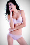 Triumph Christmas Offer Brief — thumbnail 1