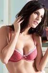 Zivame Leopard Print Padded Underwired Bra — thumbnail 3