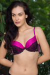 Zivame Bridal Padded Wired Medium Coverage Bra-Purple Black — thumbnail 5