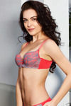 Zivame Bridal Padded Wired Low Coverage Bra-Corai — thumbnail 3