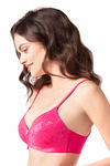 Amante Jacquard Lace Padded Wirefree Bra- Virtual Pink — thumbnail 3