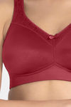 Amante Lightly Lined Non Wired Full Coverage Super Support Bra - Henna — thumbnail 4