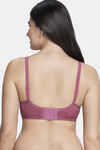 Amante Padded Non Wired Full Coverage Lace Bra - Malaga — thumbnail 2