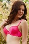 Zivame Floral Lace Explosive Pushup Bra - Fuchsia — thumbnail 3