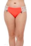 Zivame Ultra Soft Me and My Lace Bikini Brief (Pack of 3)- Multicolor — thumbnail 6