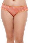 Zivame Ultra Soft Sheer Printed Lace Bikini Brief (Pack of 3)- Multicolor — thumbnail 4