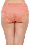 Zivame Ultra Soft Sheer Printed Lace Bikini Brief (Pack of 3)- Multicolor — thumbnail 5