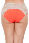 Zivame Ultra Soft Perks Of Lace Bikini Brief (Pack of 3)- Multicolor — thumbnail 5