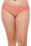 Zivame Ultra Soft Perks Of Lace Bikini Brief (Pack of 3)- Multicolor — thumbnail 6