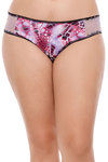 Zivame Ultra Soft Lace Chantilly Bikini Brief (Pack of 3)- Multicolor — thumbnail 2